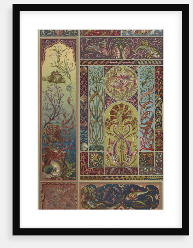 Plate 28 from 'Die Pflanze in Kunst und Gewerbe' by Anton Seder